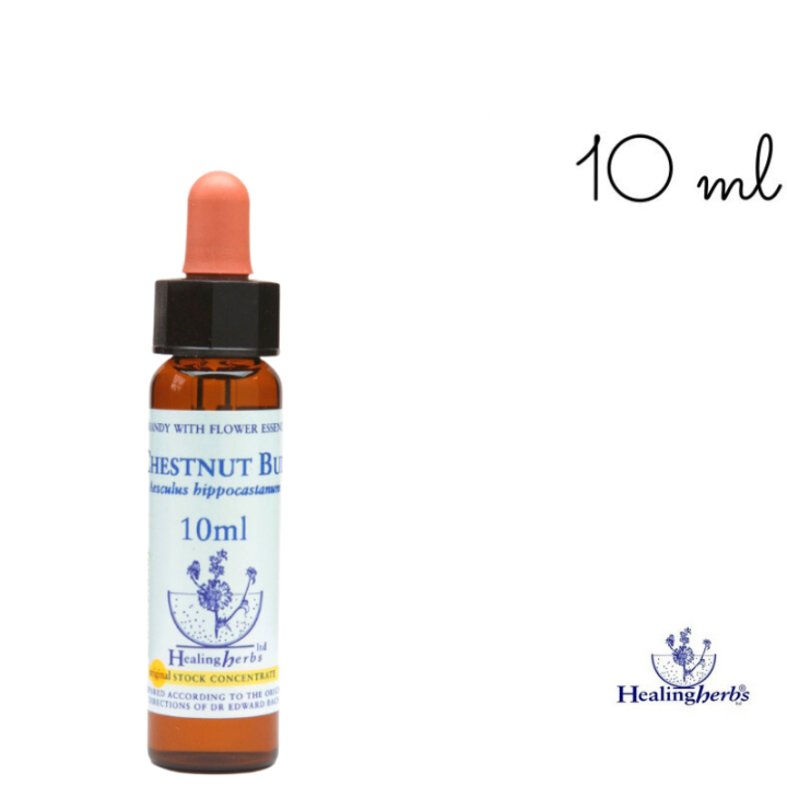 Chestnut Bud Healing Herbs 10 ml (Bourgeon de Marronnier) Healing Herbs 1 - mesfleursdebach.com 