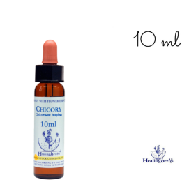 Chicory Healing Herbs 10 ml (Chicorée) Healing Herbs 1 - mesfleursdebach.com 
