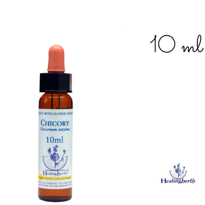 Chicory Healing Herbs 10 ml (Chicorée) Healing Herbs 1 - mesfleursdebach.com 