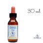 Agrimony Healing Herbs 30 ml (Aigremoine)