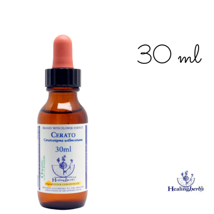 Cerato Healing Herbs 30 ml (Plumbago) Healing Herbs 4 - mesfleursdebach.com 
