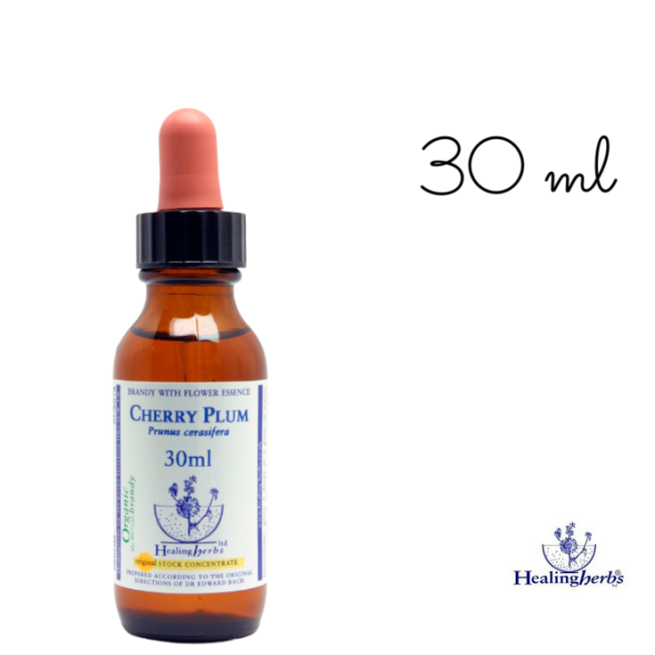 Cherry Plum Healing Herbs 30 ml (Prunier Myrobolan) Healing Herbs 5 - mesfleursdebach.com 