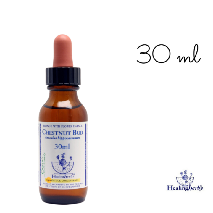 Chestnut Bud Healing Herbs 30 ml (Bourgeon de Marronnier) Healing Herbs 5 - mesfleursdebach.com 