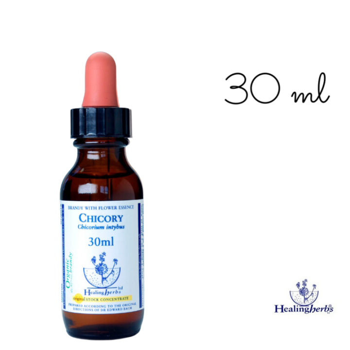Chicory Healing Herbs 30 ml (Chicorée) Healing Herbs 5 - mesfleursdebach.com 