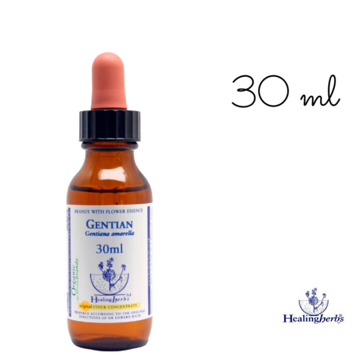 Gentian Healing Herbs 30 ml (Gentiane) Healing Herbs 6 - mesfleursdebach.com 