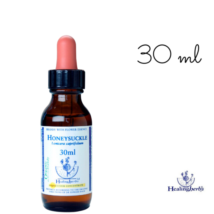 Honeysuckle Healing Herbs 30 ml (Chèvrefeuille) Healing Herbs 5 - mesfleursdebach.com 