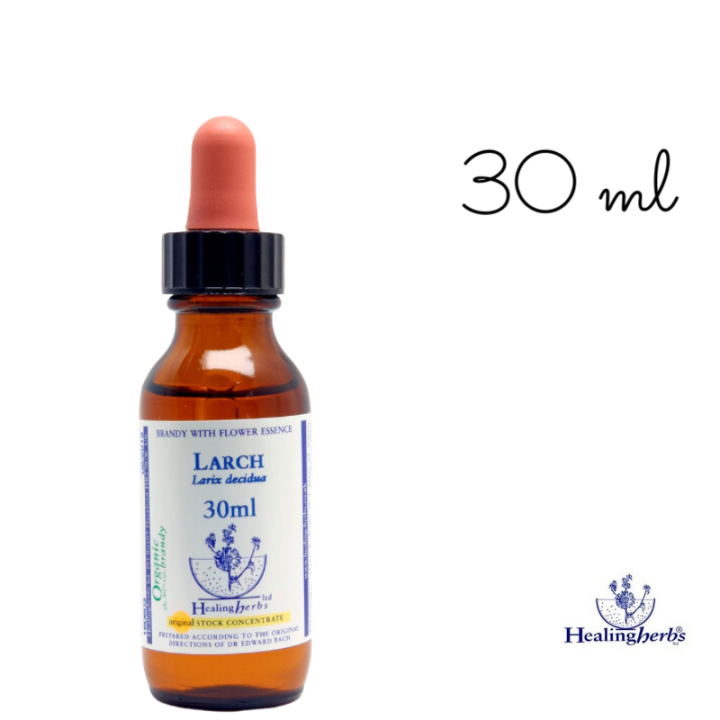 Larch Healing Herbs 30 ml (Mélèze) Healing Herbs 5 - mesfleursdebach.com 