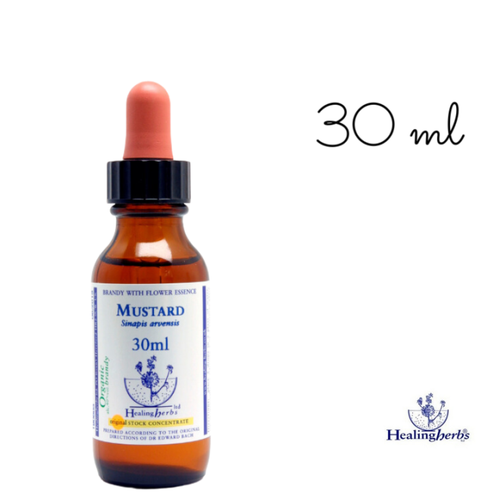 Mustard Healing Herbs 30 ml (Moutarde) Healing Herbs 4 - mesfleursdebach.com 
