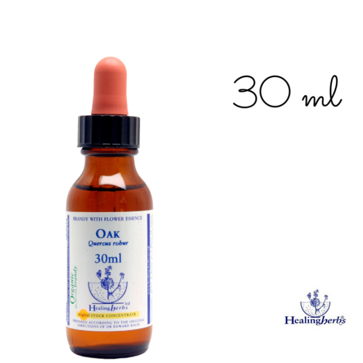 Oak Healing Herbs 30 ml (Chêne) Healing Herbs 5 - mesfleursdebach.com 