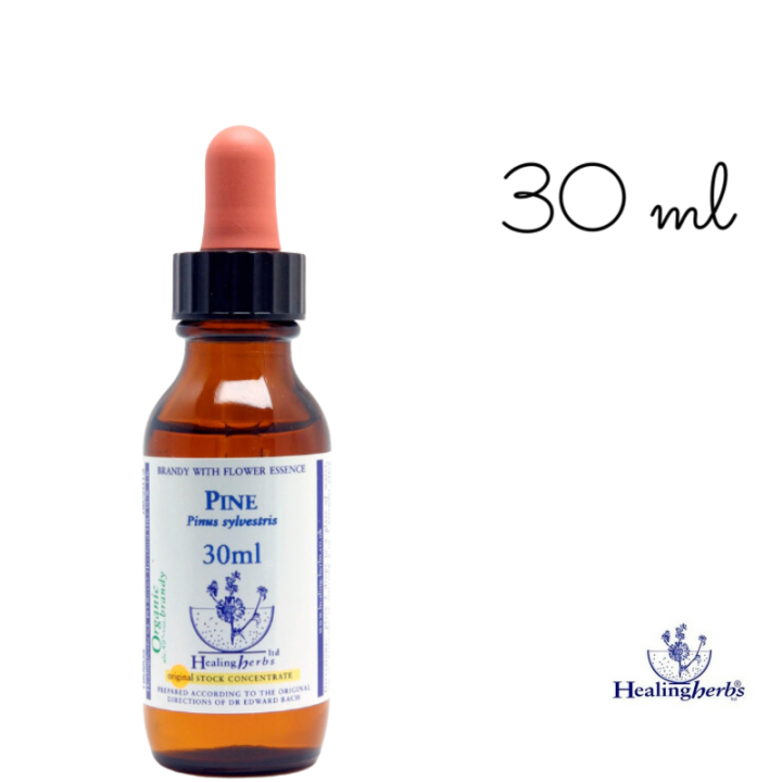 Pine Healing Herbs 30 ml (Pin Sylvestre) Healing Herbs 6 - mesfleursdebach.com 