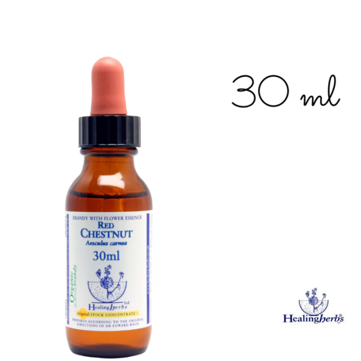 Red Chestnut Healing Herbs 30 ml (Marronnier Rouge) Healing Herbs 5 - mesfleursdebach.com 
