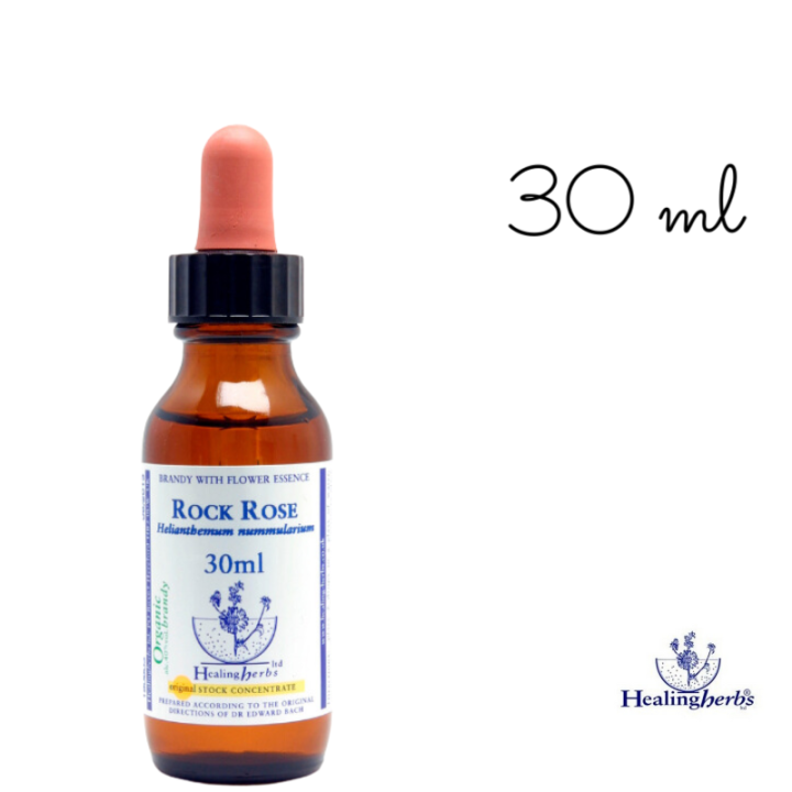 Rock Rose Healing Herbs 30 ml (Hélianthème) Healing Herbs 6 - mesfleursdebach.com 