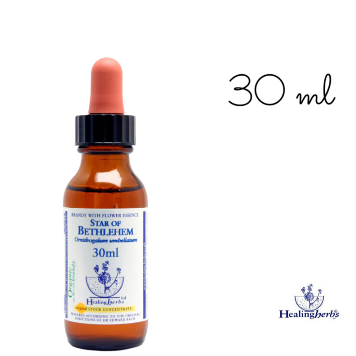 Star of Bethlehem Healing Herbs 30 ml (Étoile de Bethléem) Healing Herbs 5 - mesfleursdebach.com 