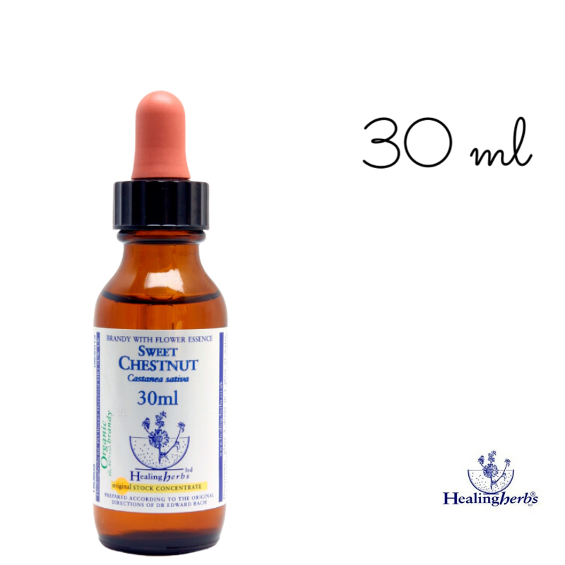 Sweet Chestnut Healing Herbs 30 ml (Châtaignier)