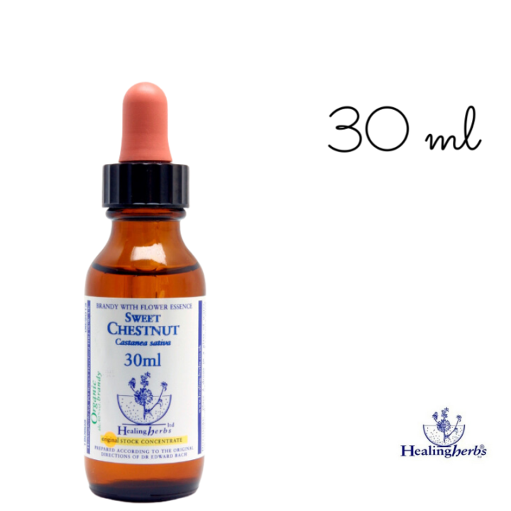 Sweet Chestnut Healing Herbs 30 ml (Châtaignier) Healing Herbs 5 - mesfleursdebach.com 