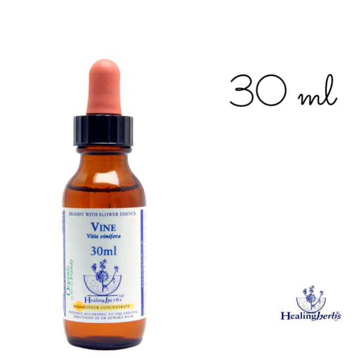 Vine Healing Herbs 30 ml (Vigne) Healing Herbs 5 - mesfleursdebach.com 