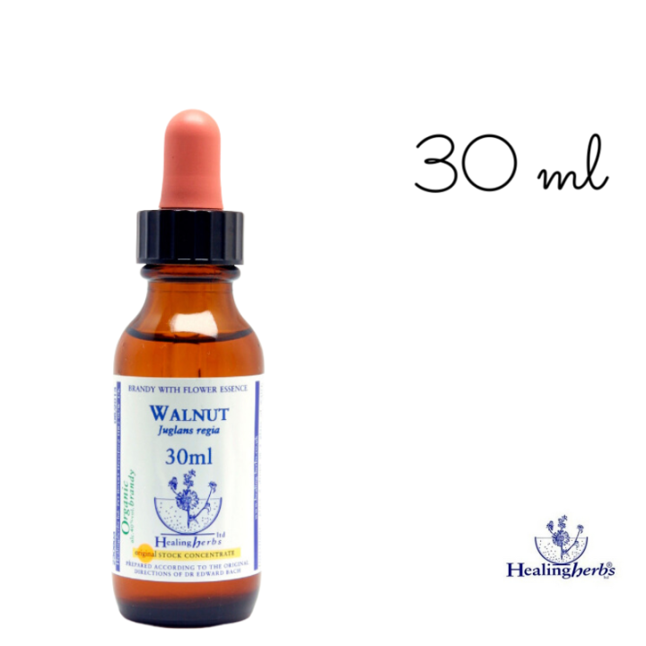 Walnut Healing Herbs 30 ml (Noyer) Healing Herbs 5 - mesfleursdebach.com 