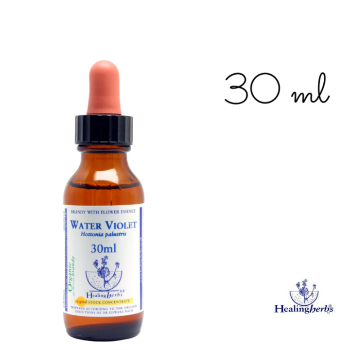 Water Violet Healing Herbs 30 ml (Violette d'Eau ou Hottonie des marais) Healing Herbs 5 - mesfleursdebach.com 