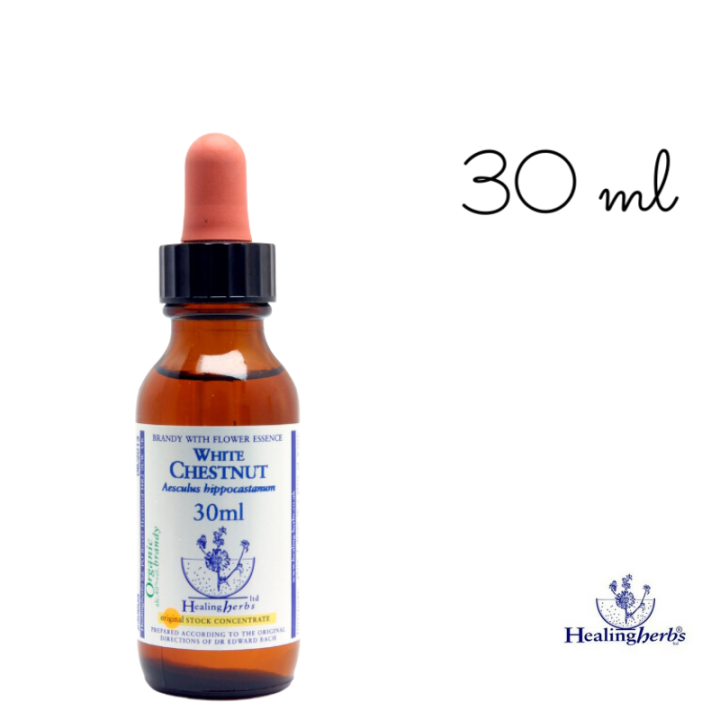 White Chestnut Healing Herbs 30 ml (Marronnier Blanc) Healing Herbs 5 - mesfleursdebach.com 