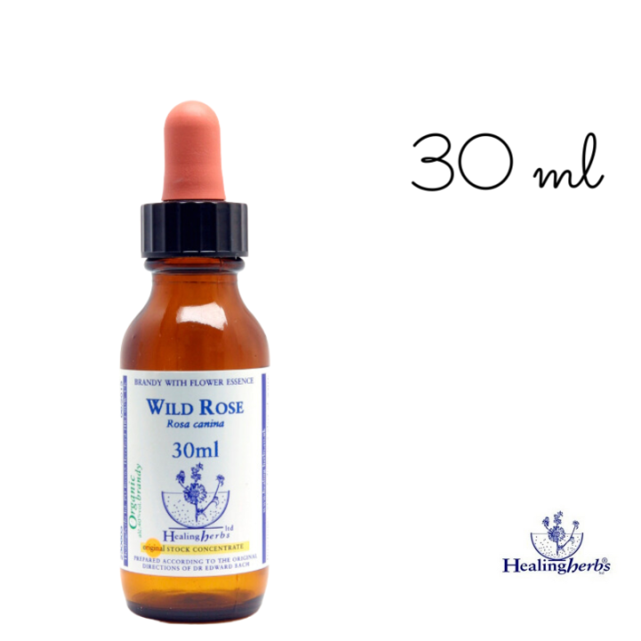 Wild Rose Healing Herbs 30 ml (Églantine) Healing Herbs 5 - mesfleursdebach.com 