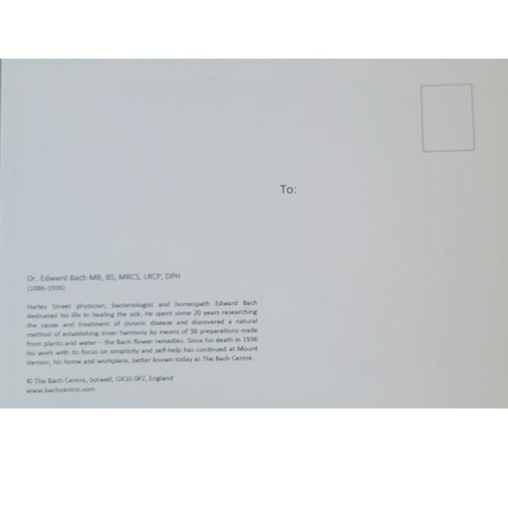 Carte postale du Dr BACH - Collection du Centre Bach 14.5*10.5cm Mes Fleurs de BACH 2 - mesfleursdebach.com 
