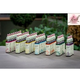 Bach Original 38 fleurs de 20ml Bach Original Nelsons 1 - mesfleursdebach.com 