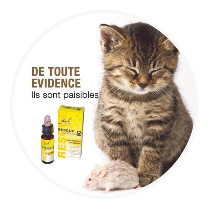 Bach - Rescue Pets Jour 20 ml (animaux) sans alcool compte-gouttes Bach Original Bach Original Nelsons 5 - mesfleursdebach.com 