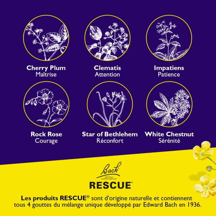 Bach - Rescue Gummies nuit fruits rouges Bach Original Bach Original Nelsons 3 - mesfleursdebach.com 