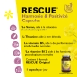 Rescue Capsules - Harmonie et positivité