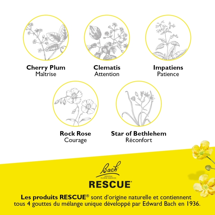 Bach - Rescue Kids sans alcool jour 10 ml Bach Original Bach Original Nelsons 4 - mesfleursdebach.com 