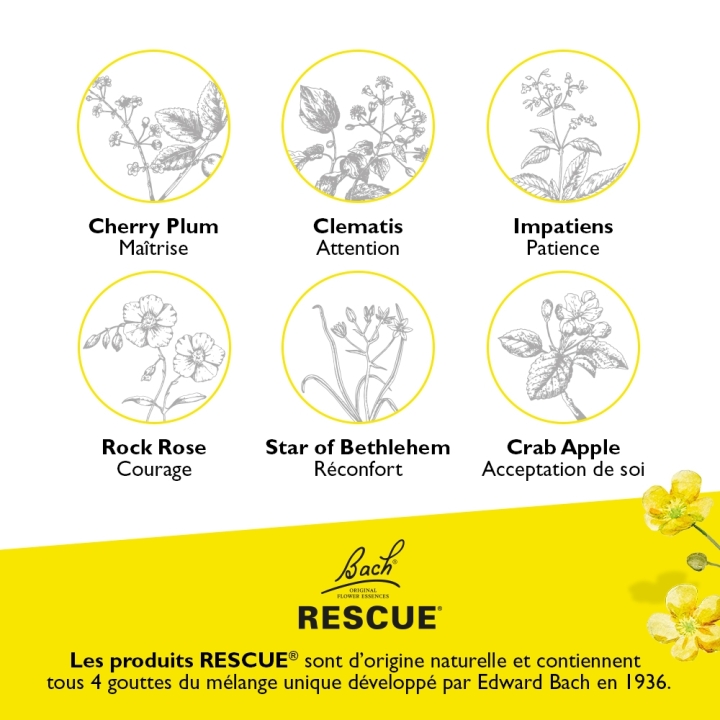 Bach - Crème Rescue 150 ml Bach Original Bach Original Nelsons 10 - mesfleursdebach.com 
