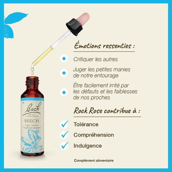 Beech Bach Original - Fleur de Bach Authentique 20 ml (Hêtre) Bach Original Nelsons 3 - mesfleursdebach.com 
