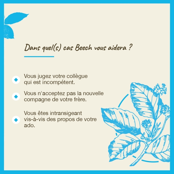 Beech Bach Original - Fleur de Bach Authentique 20 ml (Hêtre) Bach Original Nelsons 4 - mesfleursdebach.com 