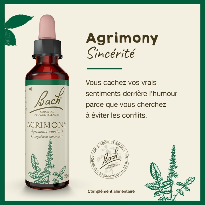 Agrimony Bach Original - Fleur de Bach Authentique 20 ml (Aigremoine) Bach Original Nelsons 2 - mesfleursdebach.com 