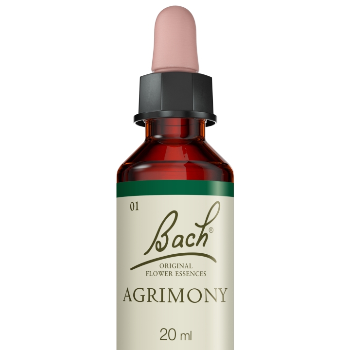 Agrimony Bach Original - Fleur de Bach Authentique 20 ml (Aigremoine) Bach Original Nelsons 5 - mesfleursdebach.com 