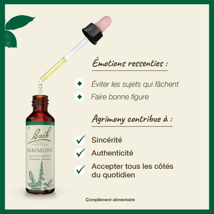 Agrimony Bach Original - Fleur de Bach Authentique 20 ml (Aigremoine) Bach Original Nelsons 3 - mesfleursdebach.com 