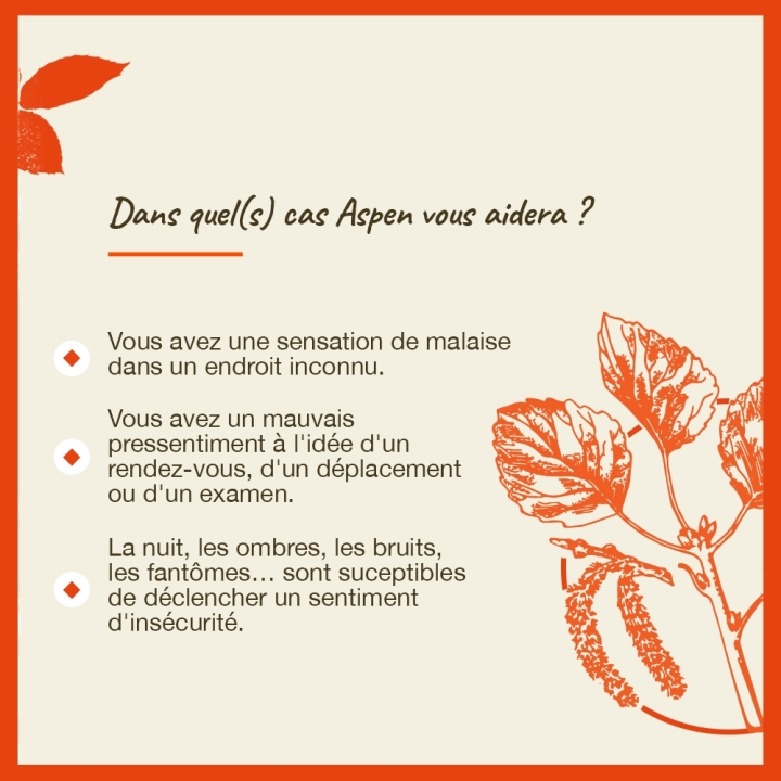 Aspen Bach Original - Fleur de Bach Authentique 20 ml (Tremble) Bach Original Nelsons 4 - mesfleursdebach.com 