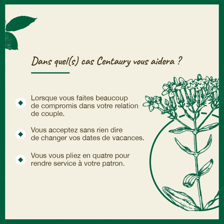 Centaury Bach Original - Fleur de Bach Authentique 20 ml (Centaurée) Bach Original Nelsons 4 - mesfleursdebach.com 