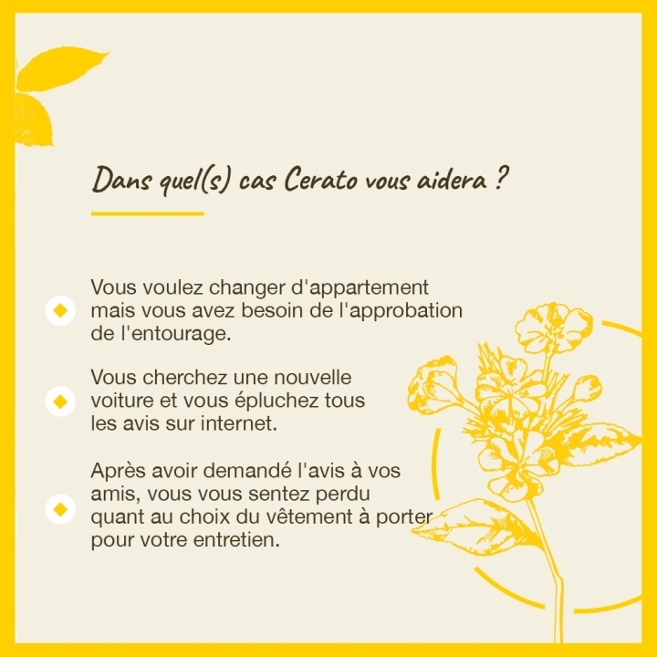 Cerato Bach Original - Fleur de Bach Authentique 20 ml (Plumbago) Bach Original Nelsons 4 - mesfleursdebach.com 