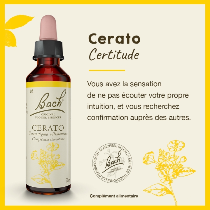 Cerato Bach Original - Fleur de Bach Authentique 20 ml (Plumbago) Bach Original Nelsons 2 - mesfleursdebach.com 