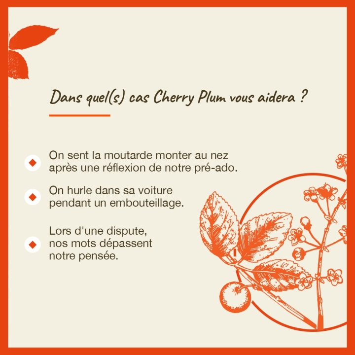 Cherry Plum Bach Original - Fleur de Bach Authentique 20 ml (Prunier Myrobolan) Bach Original Nelsons 4 - mesfleursdebach.com 