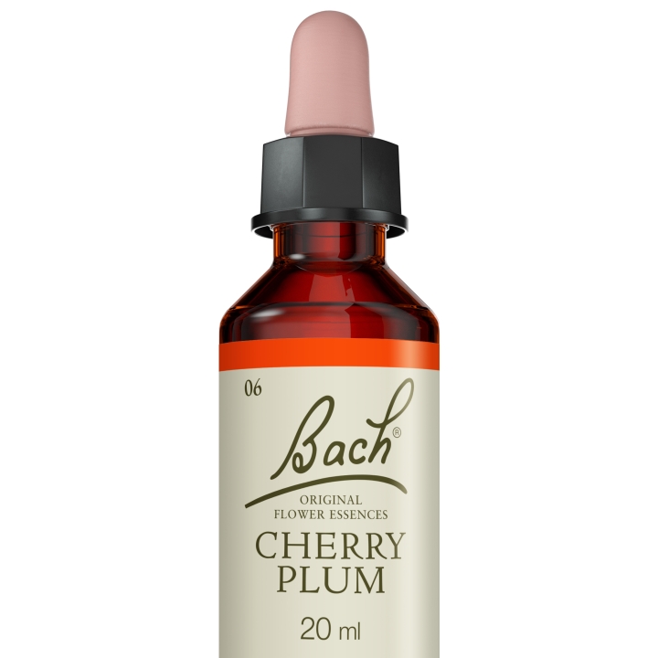 Cherry Plum Bach Original - Fleur de Bach Authentique 20 ml (Prunier Myrobolan) Bach Original Nelsons 5 - mesfleursdebach.com 