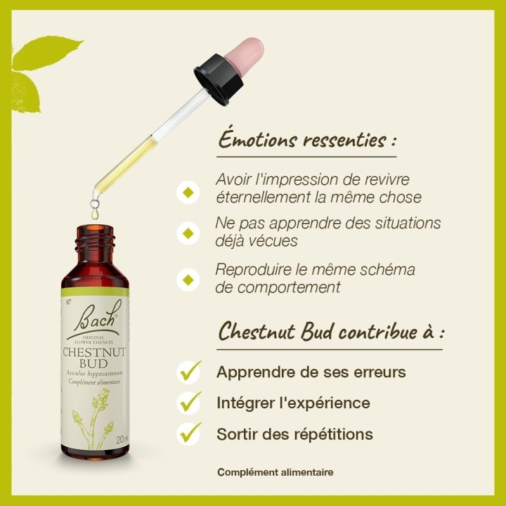 Chestnut Bud Bach Original - Fleur de Bach Authentique 20 ml (Bourgeon de Marronnier) Bach Original Nelsons 3 - mesfleursdebach.