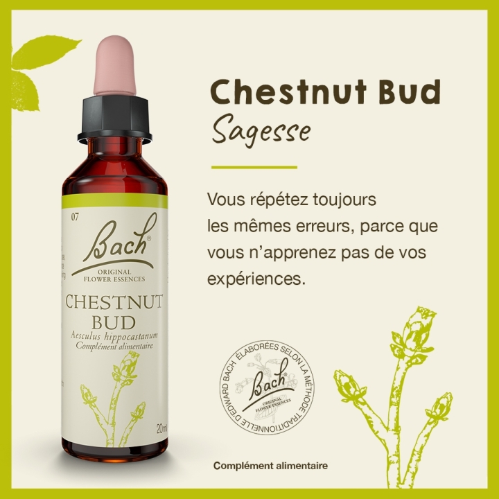 Chestnut Bud Bach Original - Fleur de Bach Authentique 20 ml (Bourgeon de Marronnier) Bach Original Nelsons 2 - mesfleursdebach.