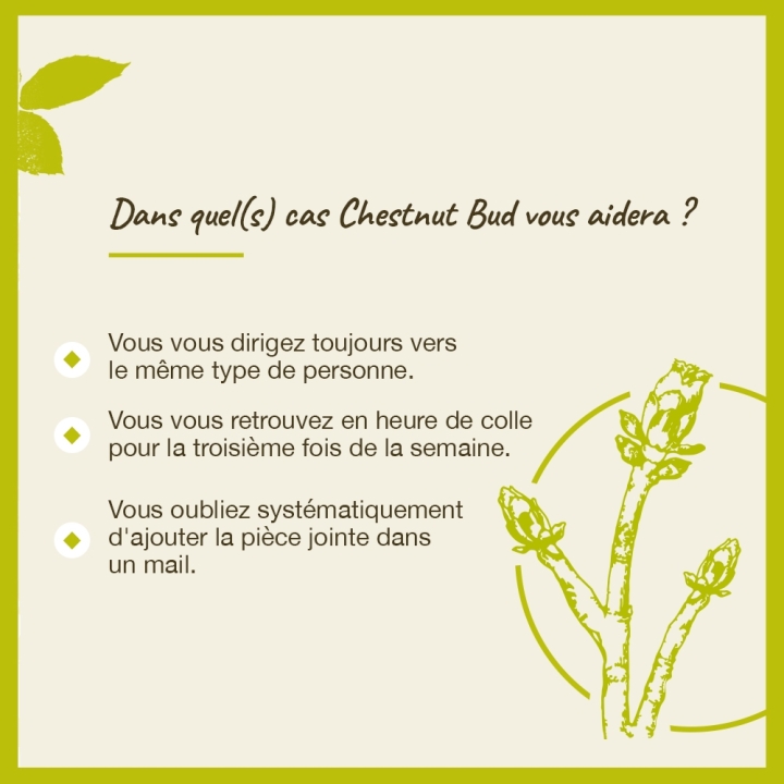 Chestnut Bud Bach Original - Fleur de Bach Authentique 20 ml (Bourgeon de Marronnier) Bach Original Nelsons 4 - mesfleursdebach.
