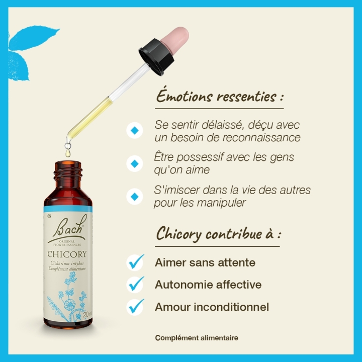 Chicory Bach Original - Fleur de Bach Authentique 20 ml (Chicorée) Bach Original Nelsons 3 - mesfleursdebach.com 