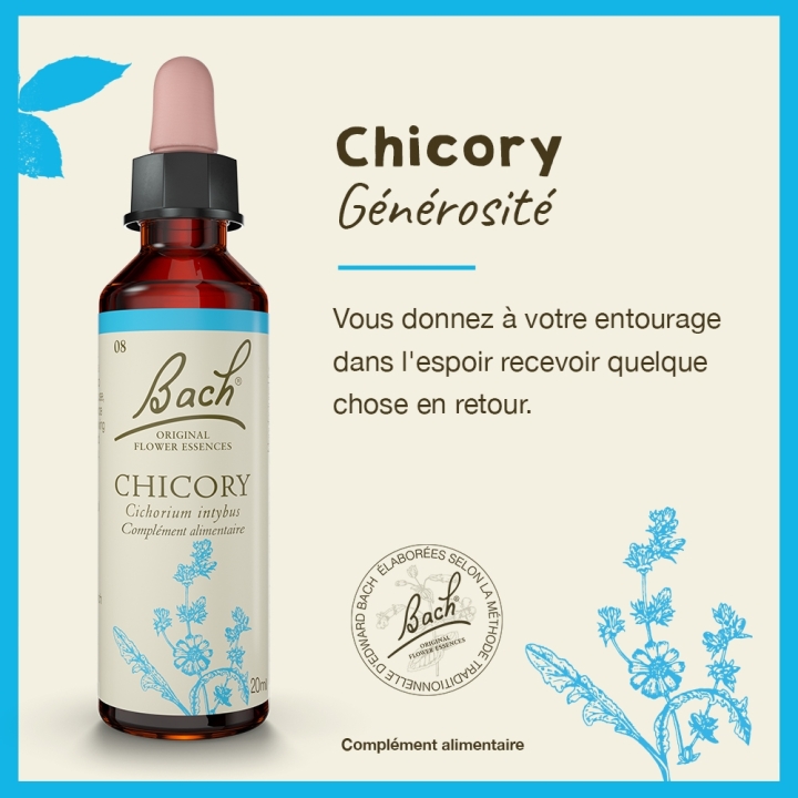 Chicory Bach Original - Fleur de Bach Authentique 20 ml (Chicorée) Bach Original Nelsons 2 - mesfleursdebach.com 