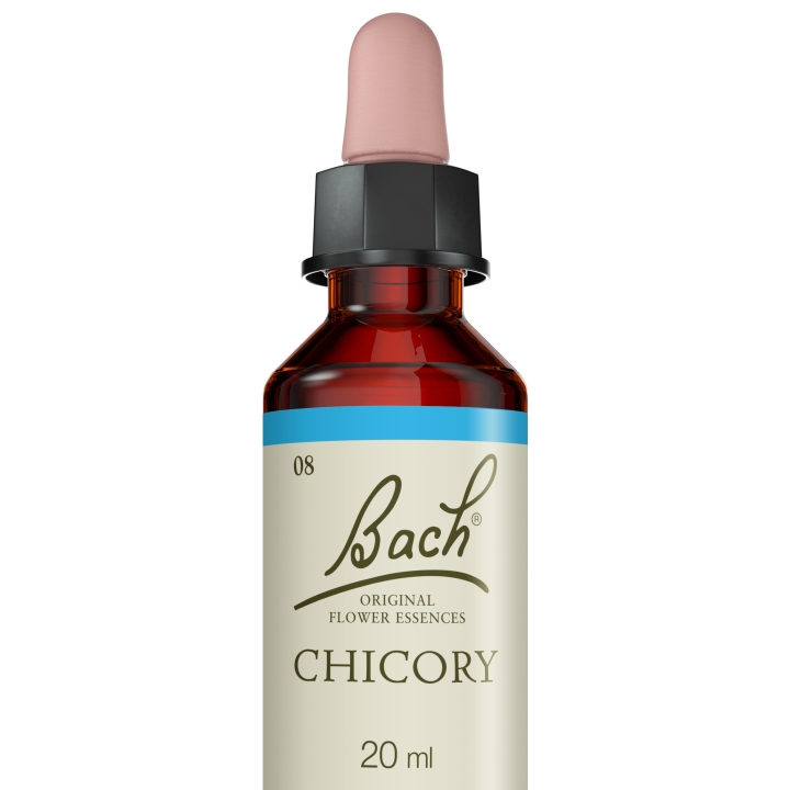 Chicory Bach Original - Fleur de Bach Authentique 20 ml (Chicorée) Bach Original Nelsons 5 - mesfleursdebach.com 