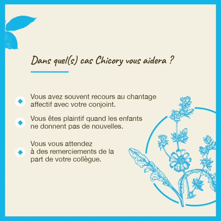 Chicory Bach Original - Fleur de Bach Authentique 20 ml (Chicorée) Bach Original Nelsons 4 - mesfleursdebach.com 