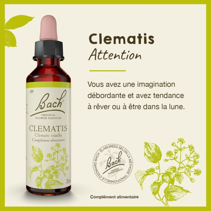 Clematis Bach Original - Fleur de Bach Authentique 20 ml (Clématite) Bach Original Nelsons 2 - mesfleursdebach.com 